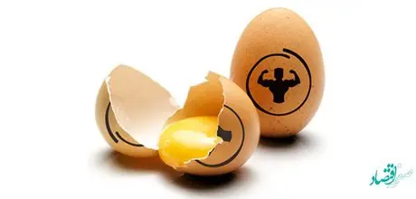 فواید و مضرات سفیده تخم مرغ بدنسازی