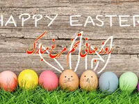 تاریخ روز جهانی تخم مرغ در تقویم ۱۴۰۲ چه روزی است؟