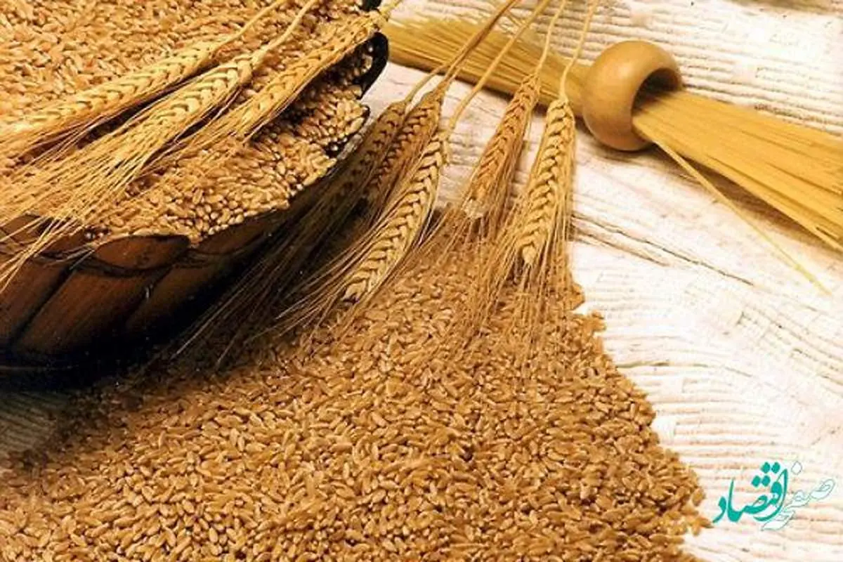 آیا ایران در تولید گندم به خودکفایی رسیده است؟