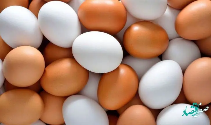 بررسی قیمت تخم مرغ در هفته سوم مهر 1401