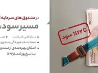پرداخت سود ماهانه، معاف از مالیات و ابطال آنلاین