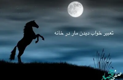 دیدن مار تو خانه در خواب نشانه چیست؟ | تعبیر خواب مار در خانه