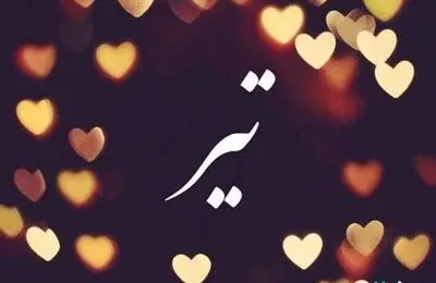 متولدین تیر ماه با چه کسانی ازدواج کنند؟ | طالع بینی ازدواج متولدین تیر ماه
