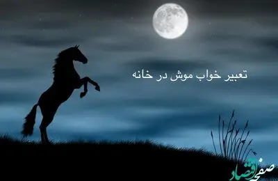 تعبیر خواب موش در خانه نشانه چیست | دیدن موش در خواب