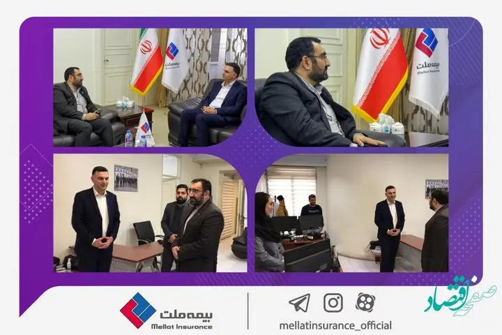 رئوفی: استفاده از ظرفیت رسانهها برای ارتقای جایگاه صنعت بیمه ضروری است