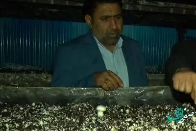 عباس عبیاوی پور کارآفرین اهوازی کیست؟