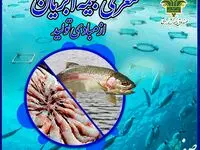کاتالوگ معرفی بیمه آبزیان از مبادی تولید منتشر گردید