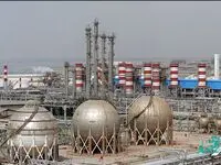 سود «بوعلی» ۸۵ درصد افزایش یافت