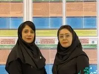 مقاله کارشناسان ستادی امور شعب بیمه حافظ افتخار آفرین شد