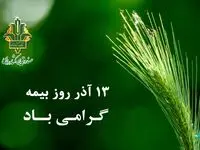 پوستر اینفوگرافیک بیمه کشاورزی به مناسبت 13 آذرماه