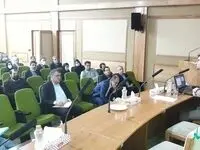 تعدد قوانین در حوزه ریسك به بخش اجرایی لطمه وارد می كند