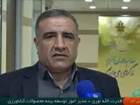 حق بیمه سهم کشاورز در بیمه طرح جهش تولید در دیمزار ها به ازای هر هکتار تنها 130 هزار تومان است