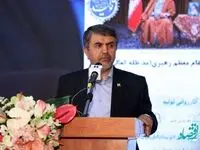 اجرای 68 طرح‌ ملی با 72 هزار میلیارد تومان تسهیلات بانک صادرات ایران