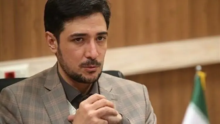شناسایی 176 هزار کارتخوان مشکوک به فرار مالیاتی 