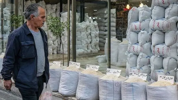 افزایش بی‌سابقه قیمت برنج ایرانی و خارجی در بازار ایران / وزارت جهاد باید بازار برنج را کنترل کند