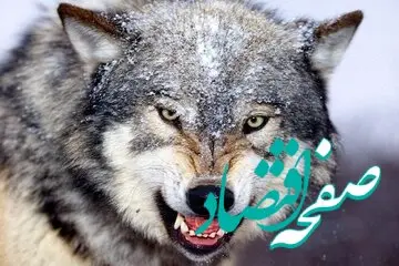 این مرد با شکار گرگ گرسنه، در این خیابان تبریز زن جوان را نجات داد/ عکس