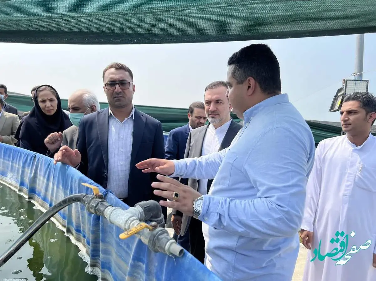 بازدید مقام های قضایی هرمزگان و مدیرعامل سازمان منطقه آزاد از شرکت پرورش میگوی فوق متراکم در قشم