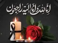 پیام تسلیت مدیرعامل سازمان منطقه آزاد اروند در پی درگذشت فرزند رئیس سازمان دامپزشکی کشور