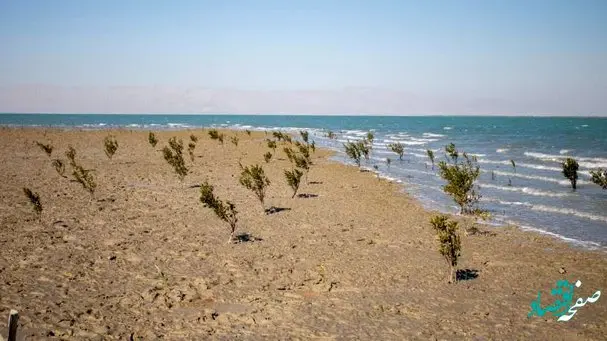 رویداد نهال‌کاری " سر زور زوما " در قشم برگزار شد