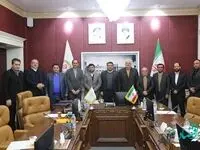 مدیرعامل گروه توسعه ملی معرفی شد
