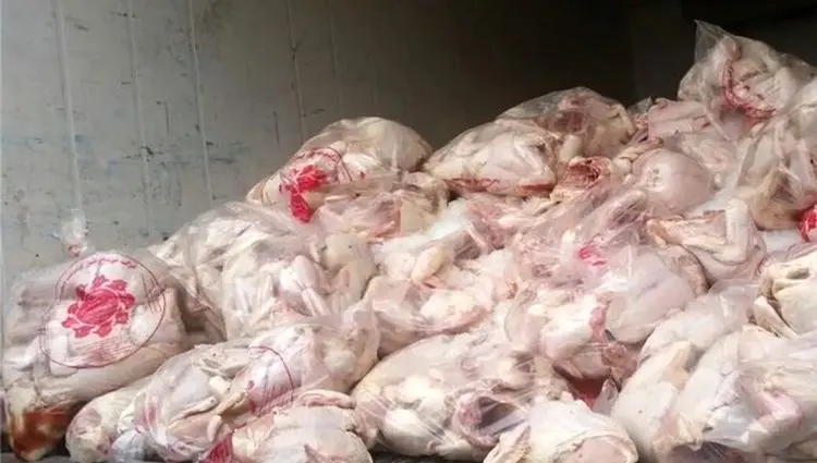 بیش از دو تن مواد غذایی فاسد در بیجار معدوم شد