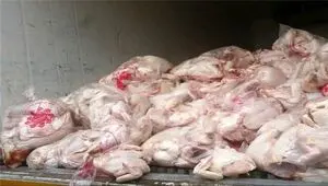 بیش از دو تن مواد غذایی فاسد در بیجار معدوم شد