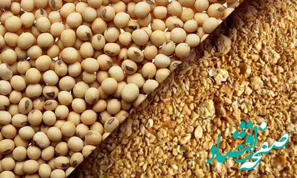 اولین محموله کنجاله سویا از این بنادر وارد کشور شد