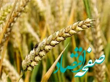 گندمکاران کرمانشاهی بخوانند