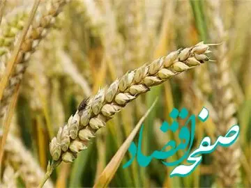 گندمکاران کرمانشاهی بخوانند