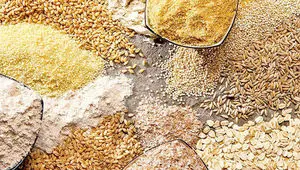 تزریق ۴ هزار میلیارد تومانی بانک مرکزی برای مهار تورم در بازار دام و طیور 
