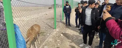 تور مهارت آفرینی و خلاقیت پروری دانش آموزان مدارس فنی و حرفه ای منطقه آزاد ماکو برگزار شد