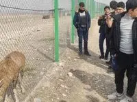 تور مهارت آفرینی و خلاقیت پروری دانش آموزان مدارس فنی و حرفه ای منطقه آزاد ماکو برگزار شد