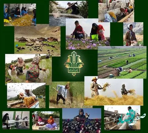 حمایت 36 هزار میلیارد ریالی بانک کشاورزی از اشتغال مددجویان کمیته امداد و بهزیستی