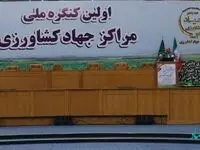 فراوانی، دسترسی، سلامت و پایداری تولید در کنارهم امنیت غذایی را فراهم می سازند