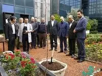 کاشت نهال" امید ملت" به دست مدیرعامل بانک ملت