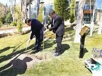کاشت نهال توسط مدیرعامل بانک کشاورزی به مناسبت روز درختکاری و هفته منابع طبیعی