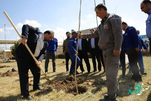 به مناسبت روز درختکاری انجام پذیرفت: کاشت نهال از سوی مدیرعامل پتروشیمی شازند