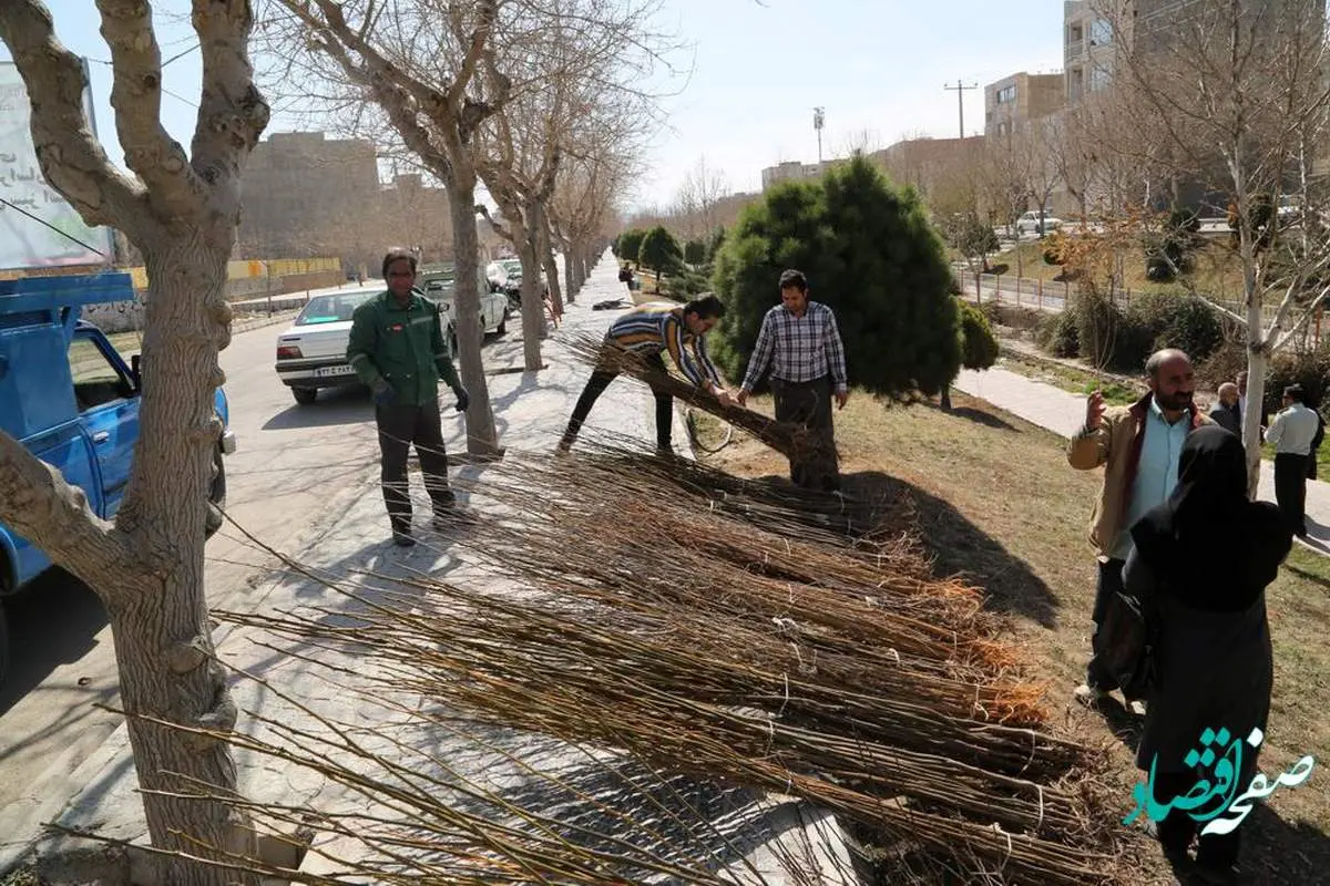 غرس 2000 اصله نهال اهدایی پتروشیمی خراسان در پارک های بجنورد و بیمارستان امام حسن(ع)