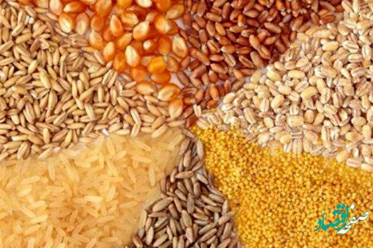 هیچ ارزی به کالاهای اساسی و نهاده دام و طیور اختصاص پیدا نکرده است