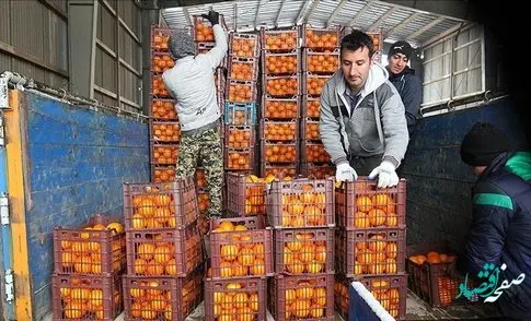 زمان توزیع و فروش میوه شب عید کی است؟