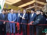 مشارکت بانک توسعه تعاون در نمایشگاه بهاره بوستان ولایت