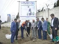 هزار اصله نهال چنار در منطقه آزاد انزلی غرس شد