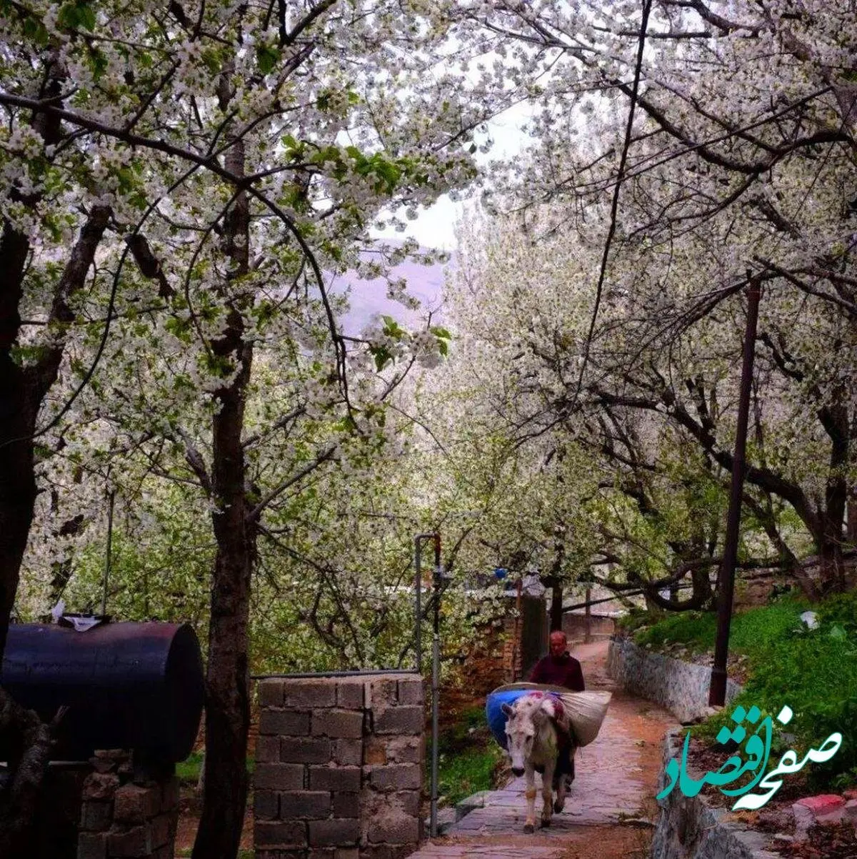 سیزده بدر سال 1402 کجا بریم؟