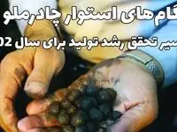 گام‌های استوار چادرملو در مسیر تحقق رشد تولید برای سال ۱۴۰۲