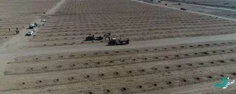 منطقه آزاد ماکو پیشگام تحقق رشد تولید در بخش کشاورزی