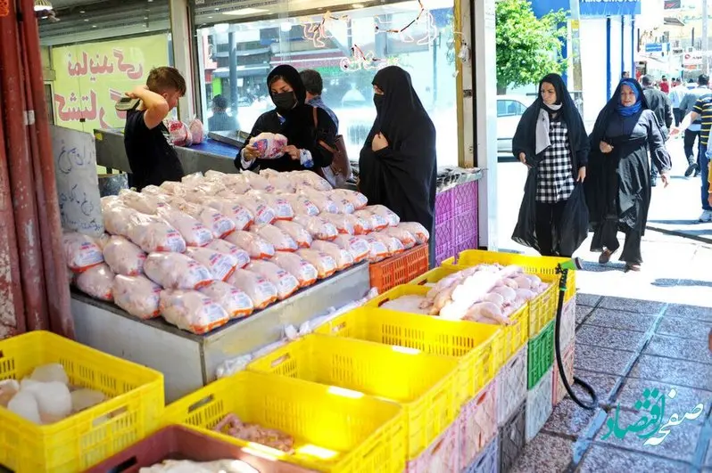 بعد از عید فطر قیمت مرغ گران می شود یا ارزان؟