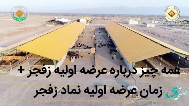 همه چیز درباره عرضه اولیه زفجر + زمان عرضه اولیه نماد زفجر