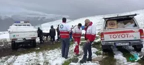 آذربایجان شرقی گرفتار برف شد | جزئیات تلف شدن ۲۵۰ راس دام سبک
