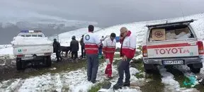 آذربایجان شرقی گرفتار برف شد | جزئیات تلف شدن ۲۵۰ راس دام سبک