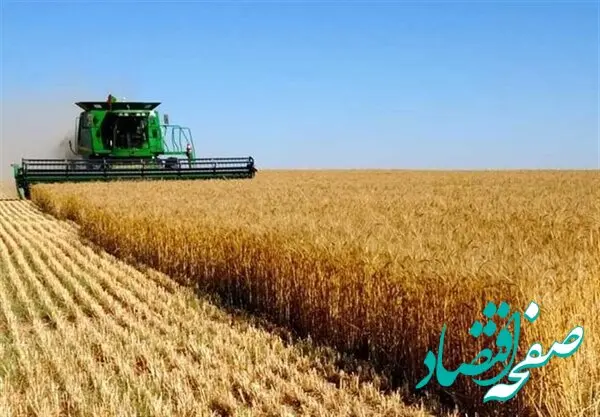 نقش بانک کشاورزی در پرداخت مطالبات گندمکاران